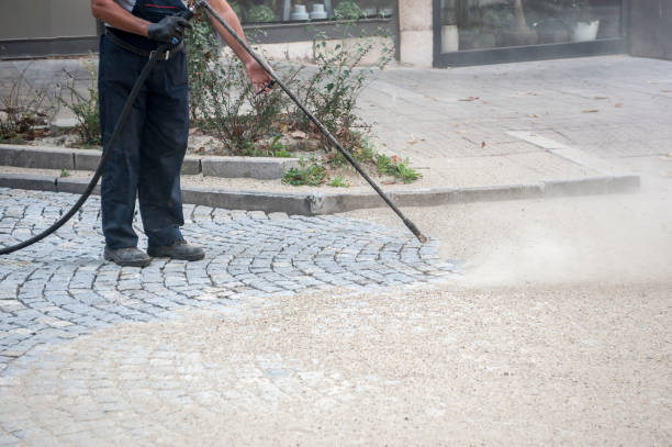 Best Sidewalk and Walkway Cleaning  in Pink, OK